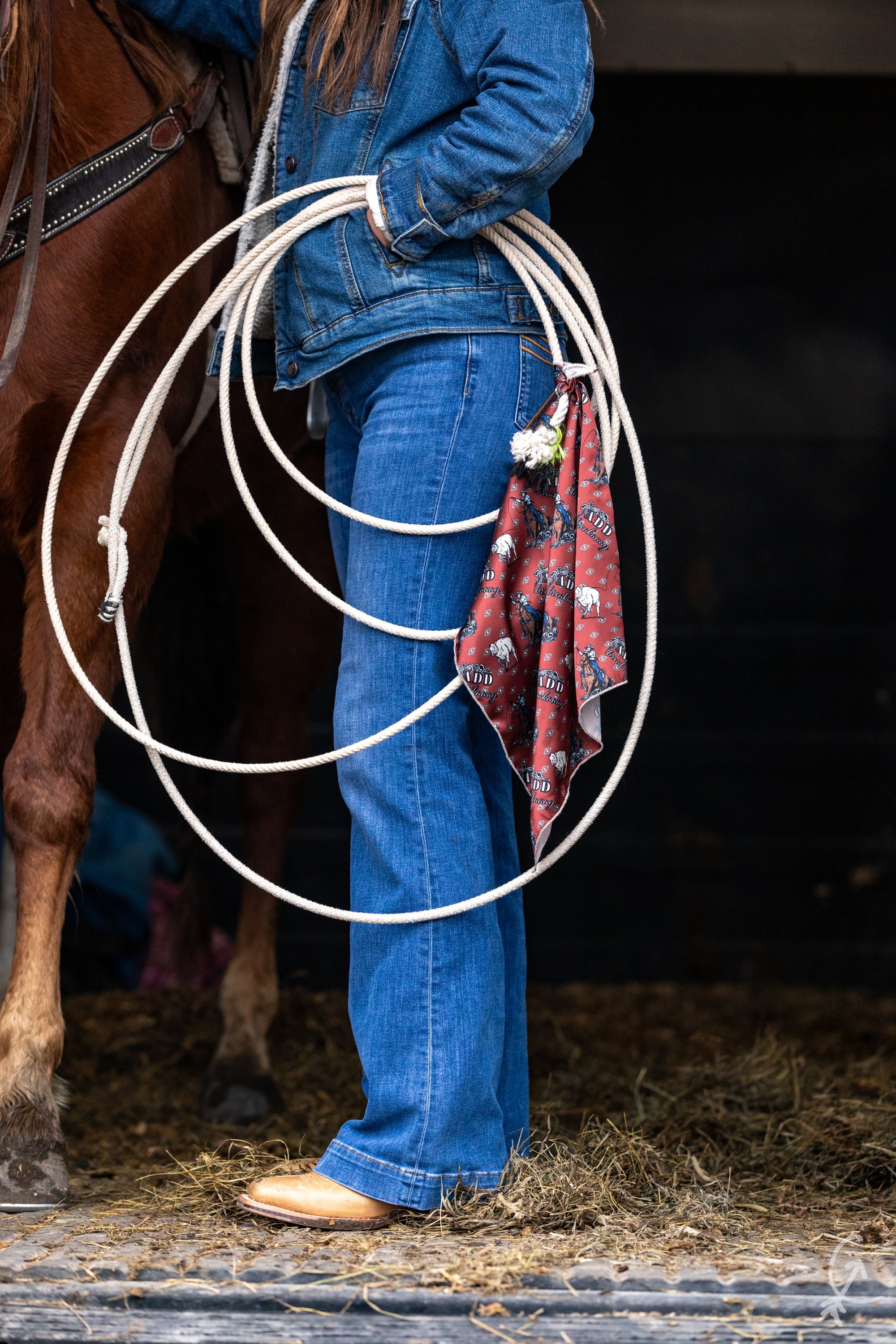 BREAKAWAY RAGS – Silk and Sage Wild Rags